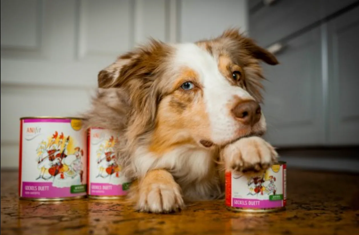ANIfit Gockels Duett Hundefutter